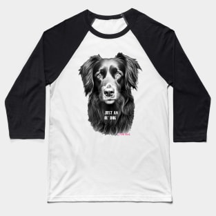 Just An Ol' Dog Baseball T-Shirt